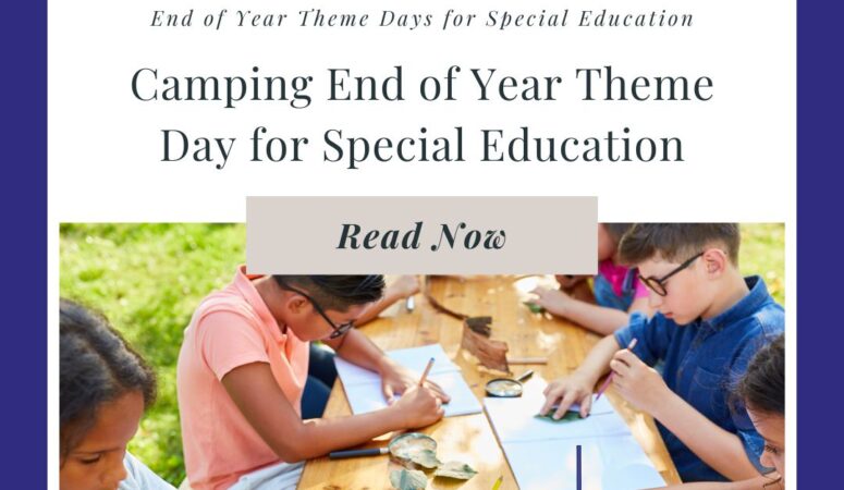 Camping End of Year Theme Day for Special Education