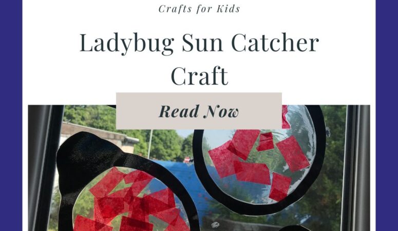 Ladybug Sun Catcher Craft for Kids