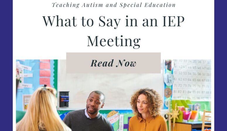What to Say in an IEP Meeting