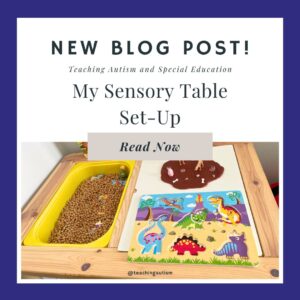 Sensory Table Set-Up