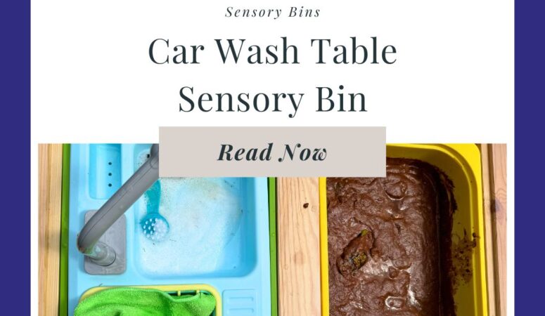 Edible Car Wash Sensory Bin Table