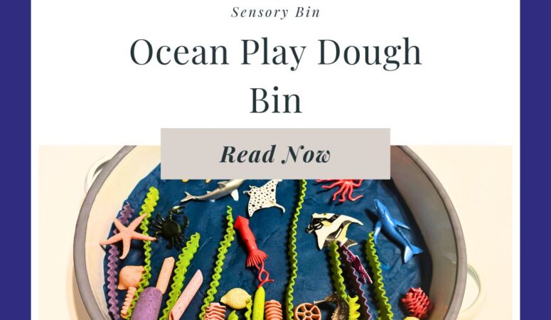 Ocean Play Dough Bin for Sensory Play