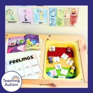 Feelings and Emotions Sensory Bin - Teaching Autism