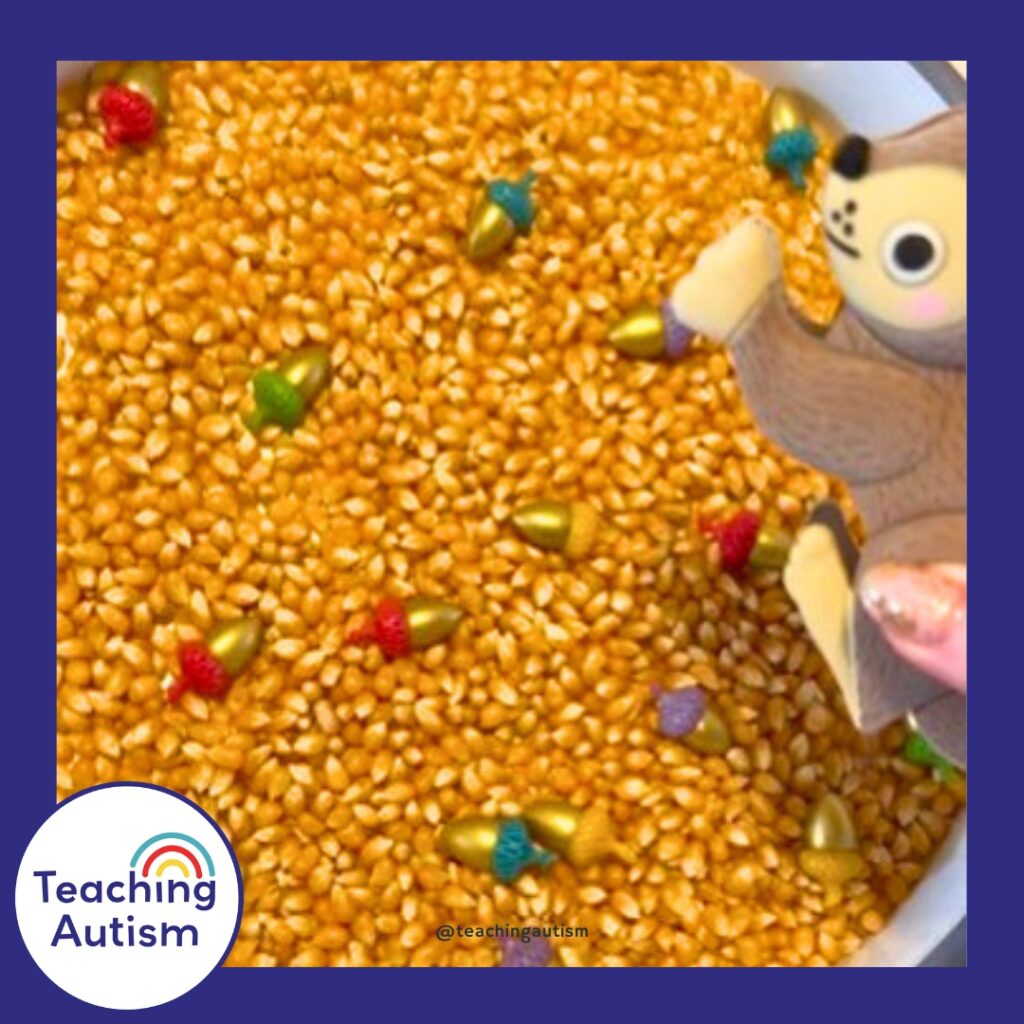 Acorn Sensory Bin for Kids