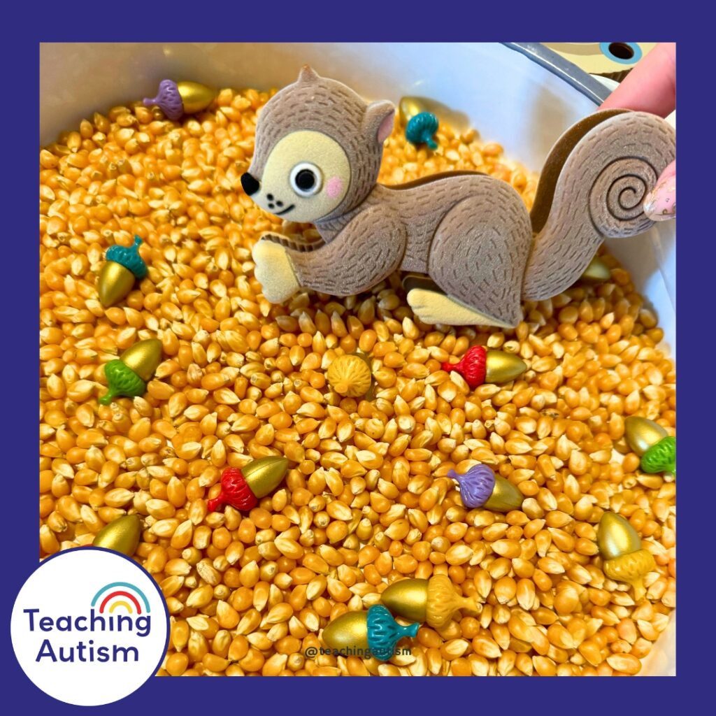 Acorn Sensory Bin for Kids