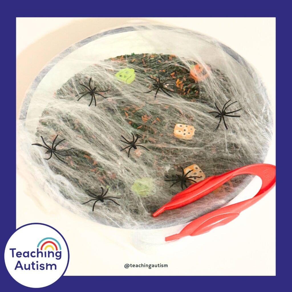 Halloween Spider Sensory Bin for Kids