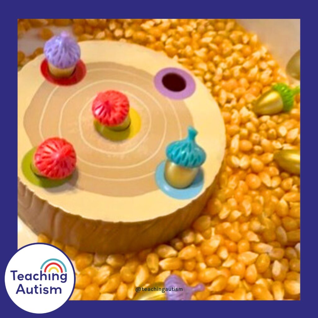 Acorn Sensory Bin for Kids