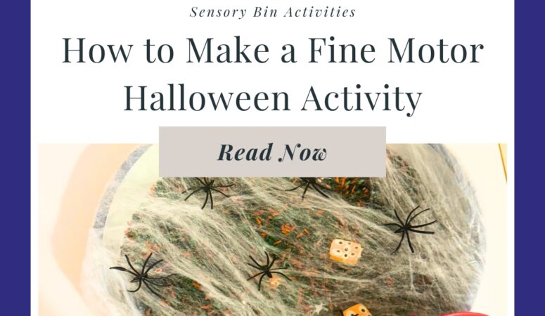 Halloween Spider Sensory Bin for Kids