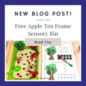 Apple Ten Frames Sensory Bin