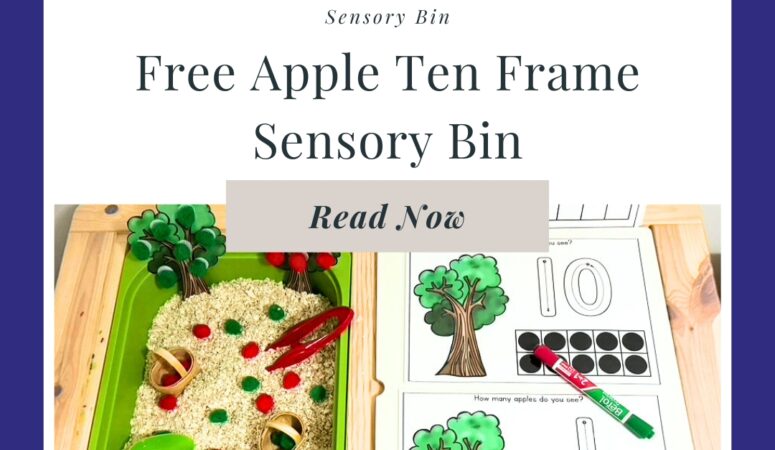 Apple Ten Frames Sensory Bin