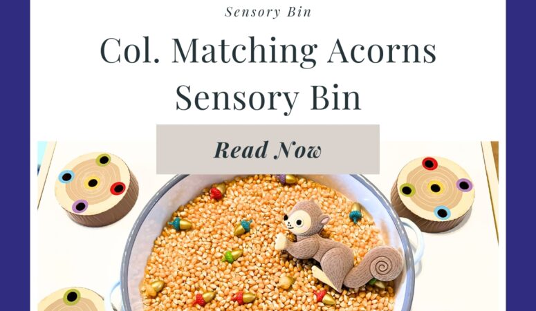 Acorn Sensory Bin for Kids