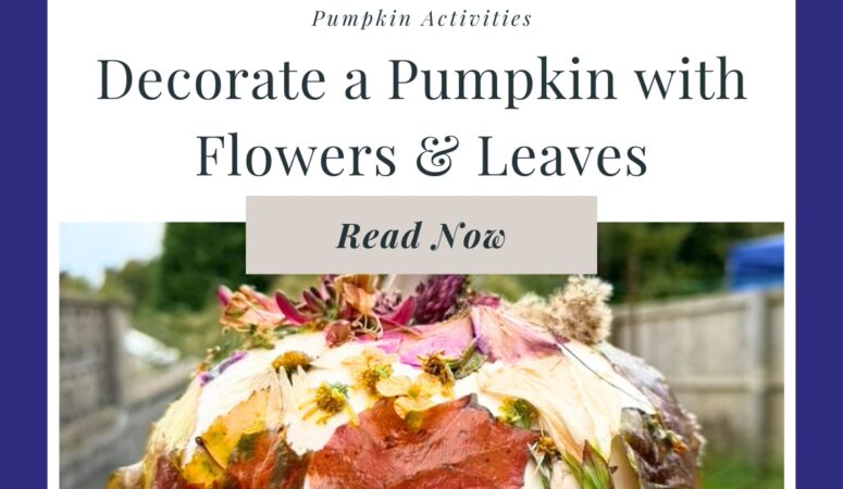 No-Carve Pumpkin Decorating for Kids