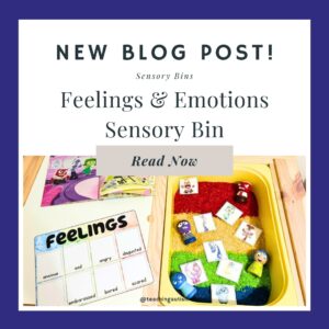 Feelings and Emotions Sensory Bin