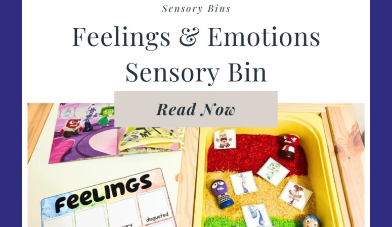 Feelings and Emotions Sensory Bin