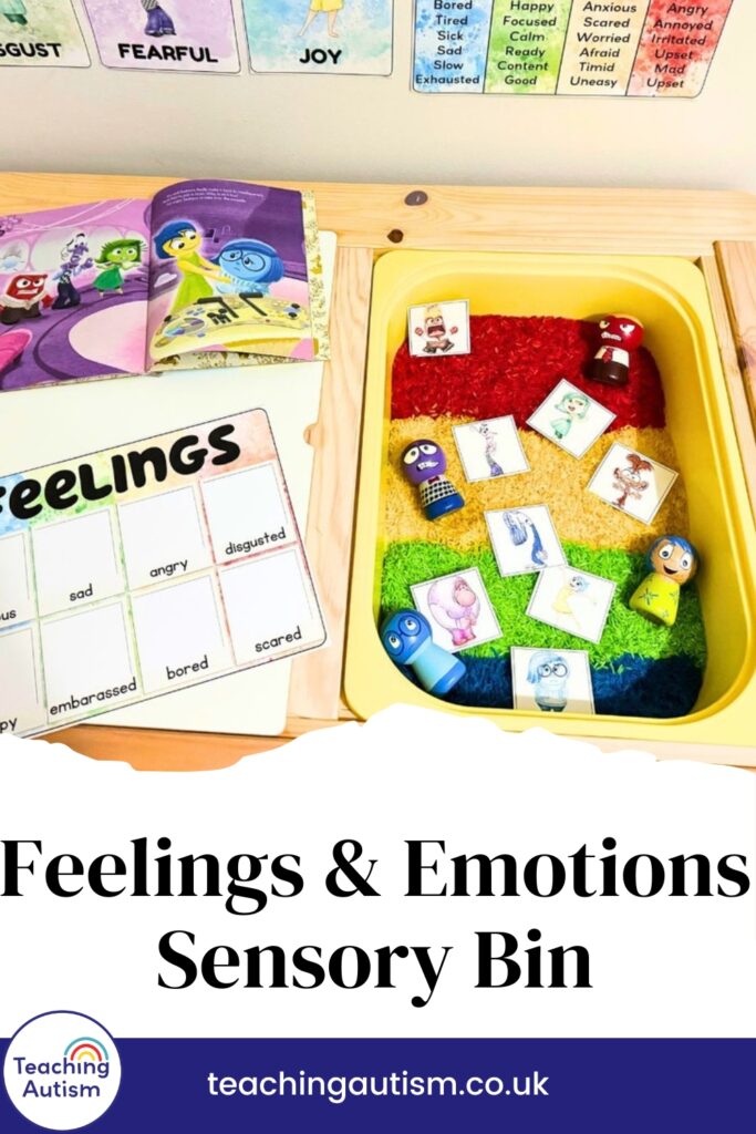 Feelings and Emotions Sensory Bin