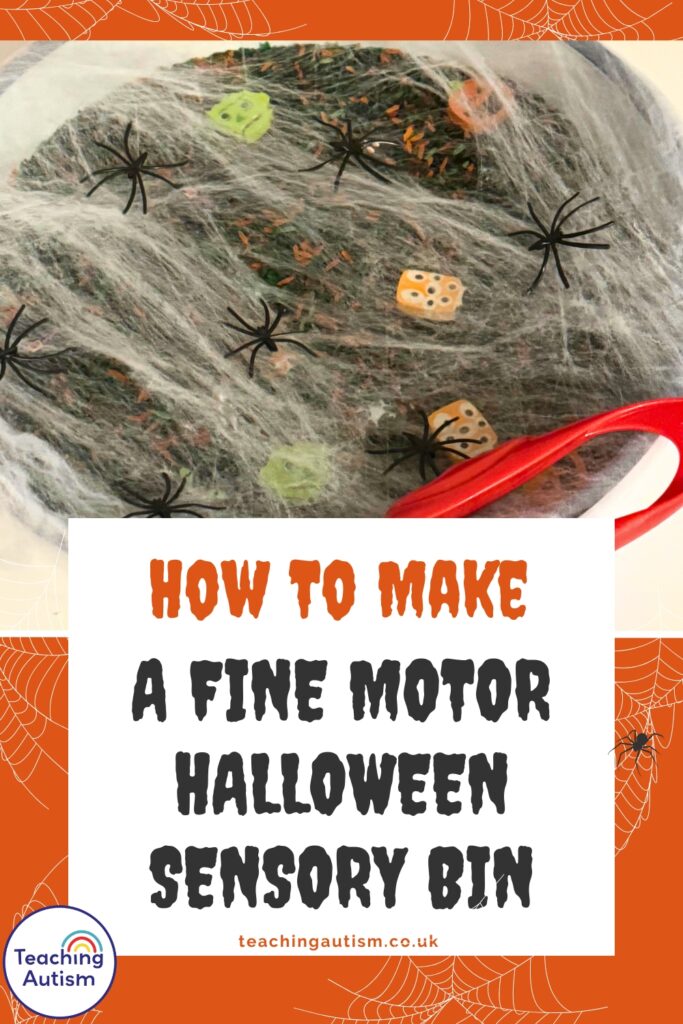 Halloween Spider Sensory Bin for Kids