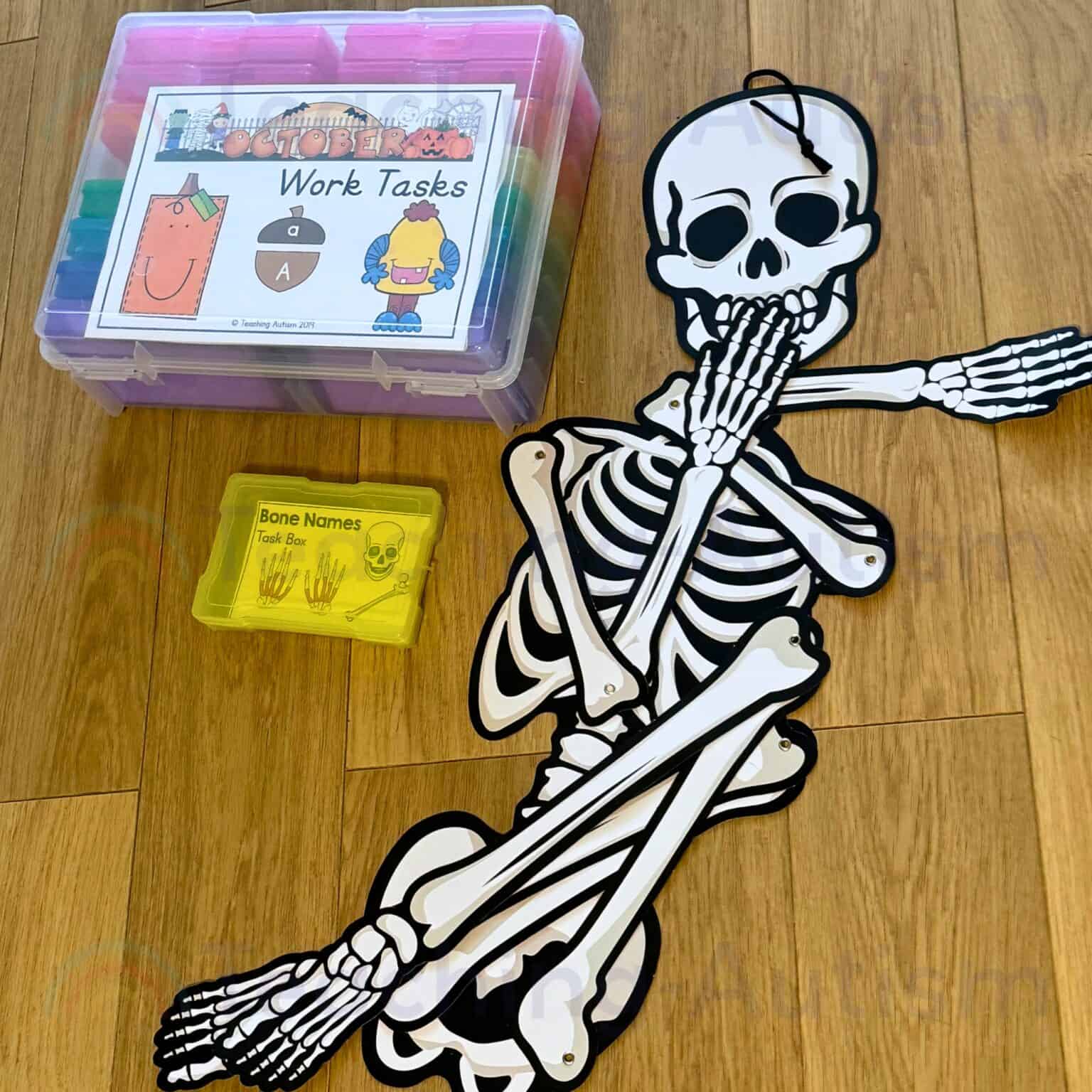 Free Label the Skeleton Bones Activity - Teaching Autism