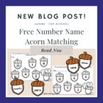 Free Acorn Math Activity for Kids