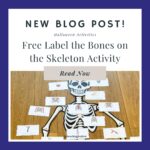 Free Label the Skeleton Bones Activity