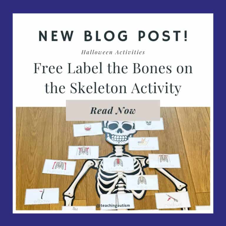 Free Label the Skeleton Bones Activity