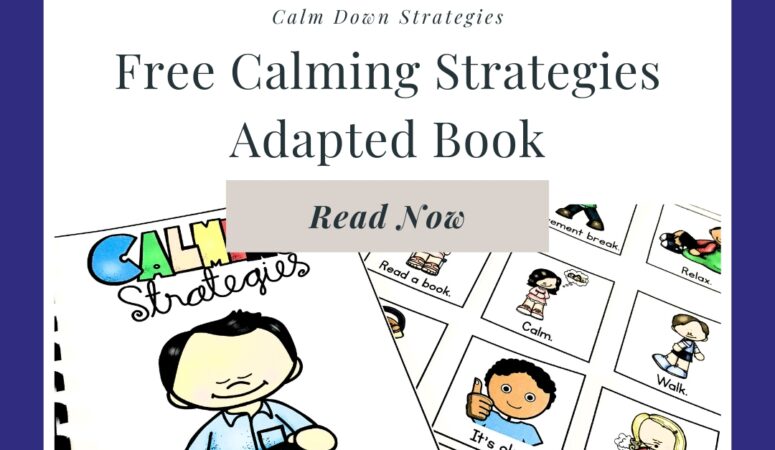 Calm Down Strategies for Kids Freebie