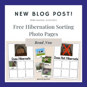 Free Hibernation Photo Sorting Pages