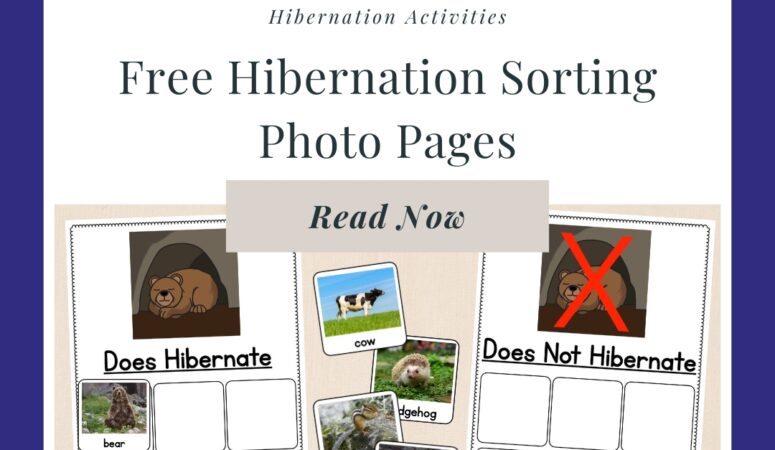 Free Hibernation Photo Sorting Pages