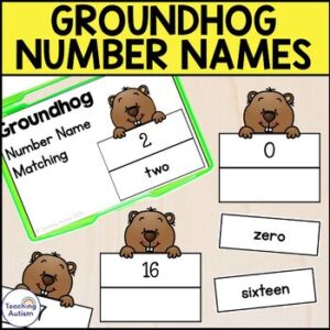 Groundhog Number Name Matching Task Boxes for Special Education