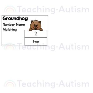 Groundhog Number Name Matching Task Boxes for Special Education