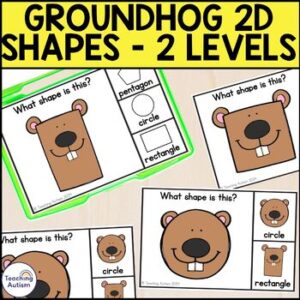 Groundhog 2D Shape Matching Task Box | Groundhog Math Activities