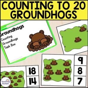 Counting Groundhogs Task Box 0-20 | Groundhog Day Activities