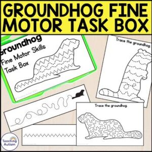 Groundhog Fine Motor Skills Task Box | Groundhog Day Task Boxes