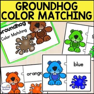 Groundhog Color Matching Task Box | Groundhog Day Activities