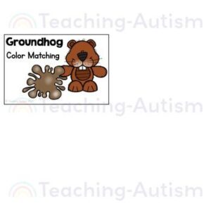 Groundhog Color Matching Task Box | Groundhog Day Activities