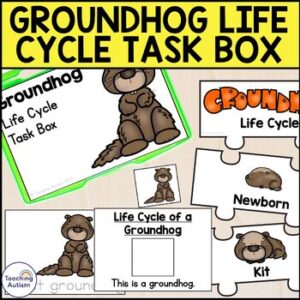 Groundhog Life Cycle Activities | Life Cycle of a Groundhog Activities Task Box