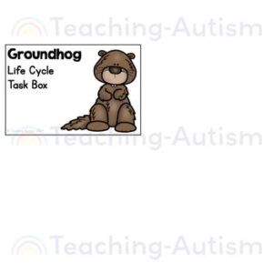 Groundhog Life Cycle Activities | Life Cycle of a Groundhog Activities Task Box