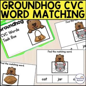 Groundhog CVC Words Task Box | Matching CVC Words to Pictures