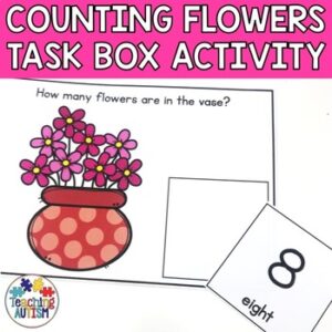 Counting Work Task Box for Special Education