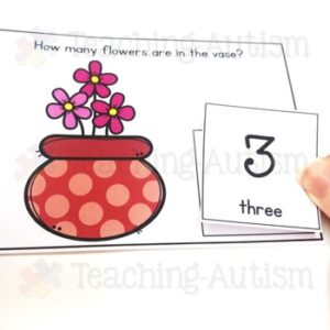 Counting Work Task Box for Special Education