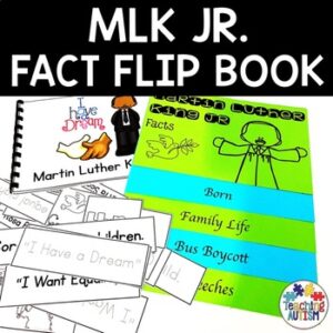 Facts About Martin Luther King Jr Flip Book