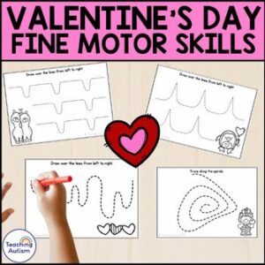 Valentine's Day Fine Motor Skill Task Cards