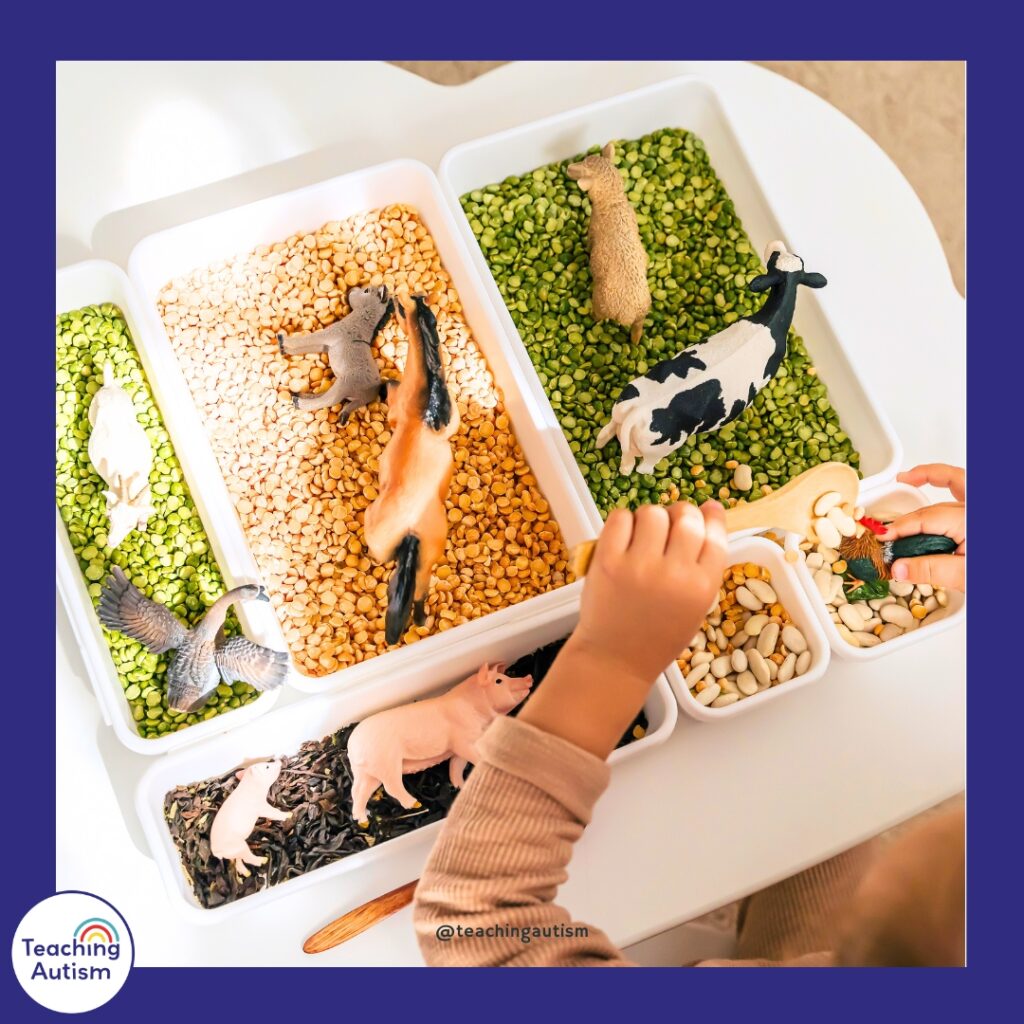 Farm Sensory Bin