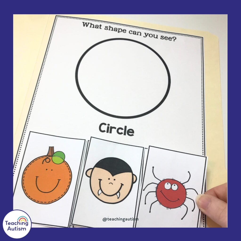 Halloween Errorless File Folder Activities