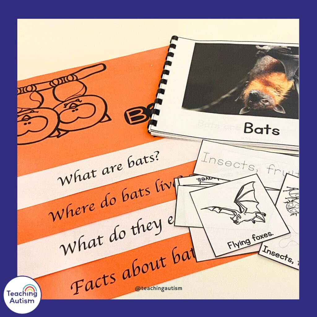 Facts About Bats Flip Book
