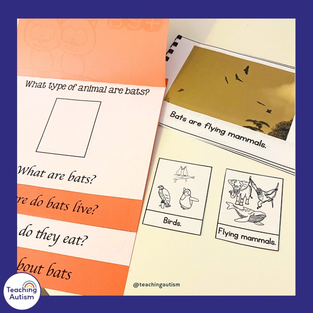 Facts About Bats Flip Book