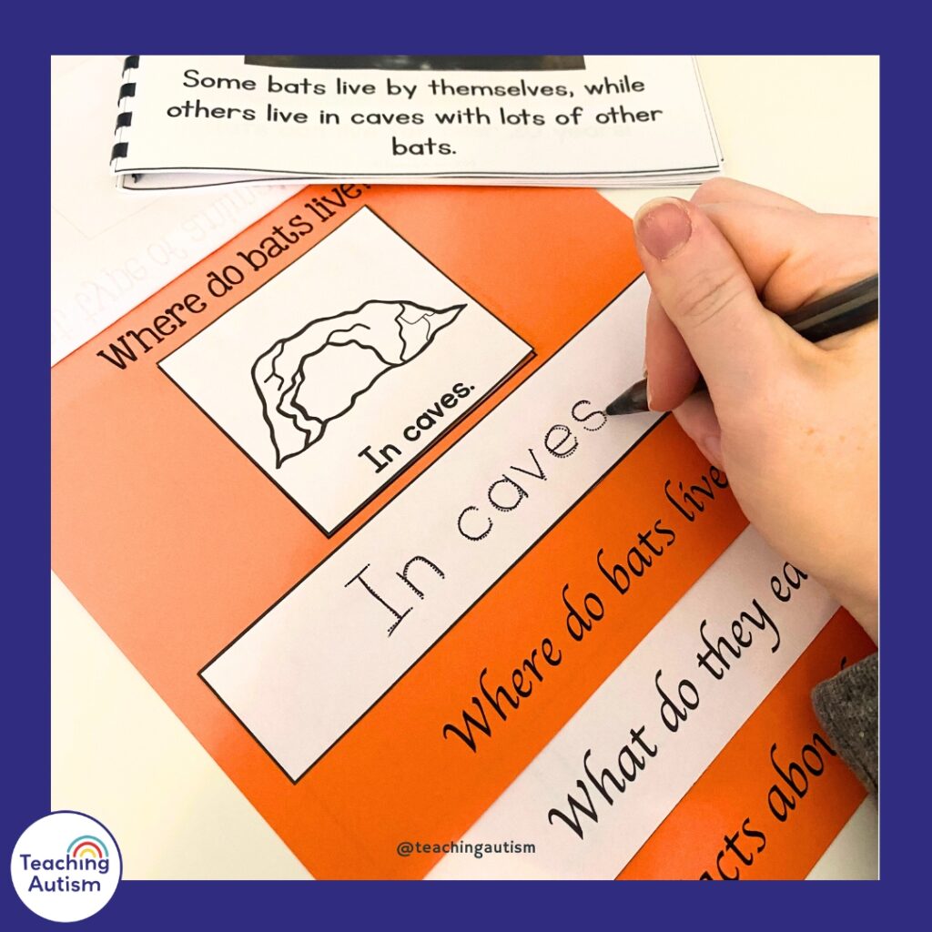 Facts About Bats Flip Book