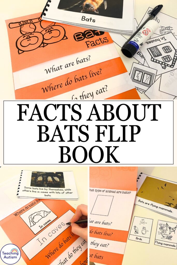 Facts About Bats Flip Book