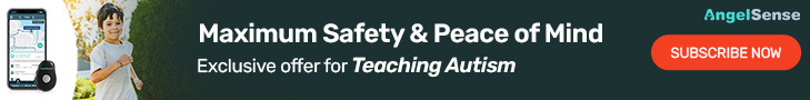Teaching Autism Banner