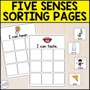 Five Senses Sorting Activity | Five Senses Activities