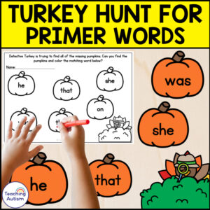 Primer Sight Words | Turkey Sight Word Worksheets